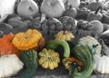 Harvest vegetables and fruit at a farmer`s market.