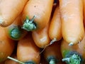 Harvest vegetables season Royalty Free Stock Photo