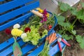 Harvest from the vegetal garden Royalty Free Stock Photo