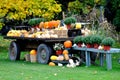 Harvest Wagon