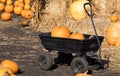 Harvest Wagon Filled with Pumkpins