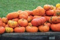 Harvest wagon filled with pumpkins at a pumpkin patch in fall.