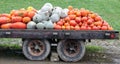 Harvest wagon filled with pumpkins at a pumpkin patch in fall.