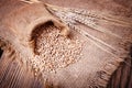 Harvest of wheat and ears Royalty Free Stock Photo