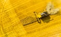 Harvest of wheat field. Aerial view to combine harvester. Royalty Free Stock Photo