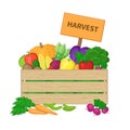 Harvest in a wooden box with board. Crate with autumn vegetables. Fresh Organic food from the farm.