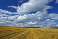 Harvested agriculture land