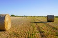 Harvested bales of straw in field in summer day on farmland country Royalty Free Stock Photo