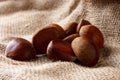 Harvested chestnuts on burlap Royalty Free Stock Photo