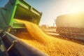 Harvested corn freshly seeds. Generate Ai