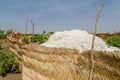 Harvested cotton being piled up in traditional reed stockage under the blue African sky in Benin