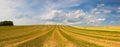 Harvested empty field on the hills