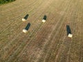 Harvested meadow with dried hay bales, aerial