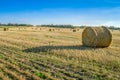 Harvested field Royalty Free Stock Photo