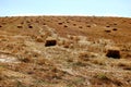 Harvested Field landsape Royalty Free Stock Photo