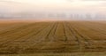 Harvested field and morning fog Royalty Free Stock Photo