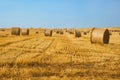 Harvested Field With Straw Bales