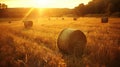 Harvested field with straw bales in the rays of the setting sun