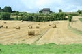 Harvested Field With Straw Bales In Summer
