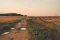 Harvested fields with cut straw and electivity power line columns in summer warm sunset evening light Royalty Free Stock Photo