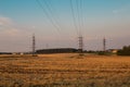 Harvested fields with cut straw and electivity power line columns in summer warm sunset evening light Royalty Free Stock Photo