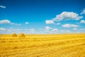 Harvested fileld of wheat with two bales straw Royalty Free Stock Photo