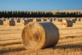 Harvested gold Hay bales punctuate the picturesque agricultural scenery