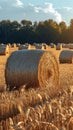 Harvested gold Hay bales punctuate the picturesque agricultural scenery