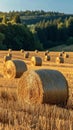 Harvested gold Hay bales punctuate the picturesque agricultural scenery