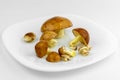 harvested, golden mushrooms soaked in a bowl of water, preparation for cooking mushrooms, peeled fresh mushrooms