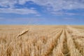 Harvested Grain Field Canadian Prairies Royalty Free Stock Photo