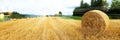 Harvested grain field and straw bales