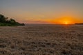 Harvested grain field at sunset. Rural summer landscape with orange sun sinking over the horizon over the stubble. Royalty Free Stock Photo