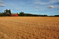 Harvested grainfield