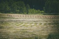 Harvested Grassland Field at bright Summer Day