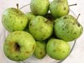 Harvested Green Apples Royalty Free Stock Photo