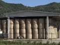 Harvested hay ball in the shed in summer Royalty Free Stock Photo