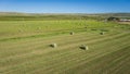 Harvested Hay in Farmland Field Royalty Free Stock Photo