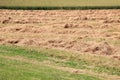 Harvested hay field in warm summer