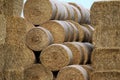 Harvested hay in KnÃÂ¤vÃÂ¥ngen, Falsterbo, Sweden Royalty Free Stock Photo