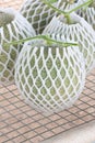 Harvested Japanese musk melons packed with protective foam net Royalty Free Stock Photo