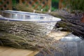 Lavender drying beside bowls on a table Royalty Free Stock Photo