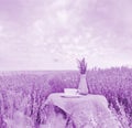 Harvested lavender flowers Royalty Free Stock Photo