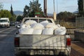 Harvested olives, collected into sacks and loaded on truck