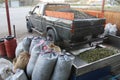 Harvested olives in olive oil mill in Greece