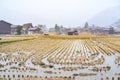 Harvested rice field under snowing winter in Shirakawago historic village Royalty Free Stock Photo