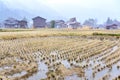 Harvested rice field under snowing winter in Shirakawago historic village Royalty Free Stock Photo