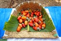 Harvested Ripe Cashew Nuts