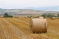 Cut and rolled hay bales lay in a field Royalty Free Stock Photo