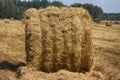 Harvested, straw rolled into rolls Royalty Free Stock Photo
